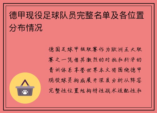 德甲现役足球队员完整名单及各位置分布情况